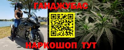 шишки Будённовск