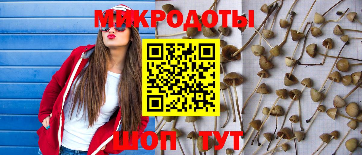 Псилоцибиновые грибы Psilocybe Сергиев Посад
