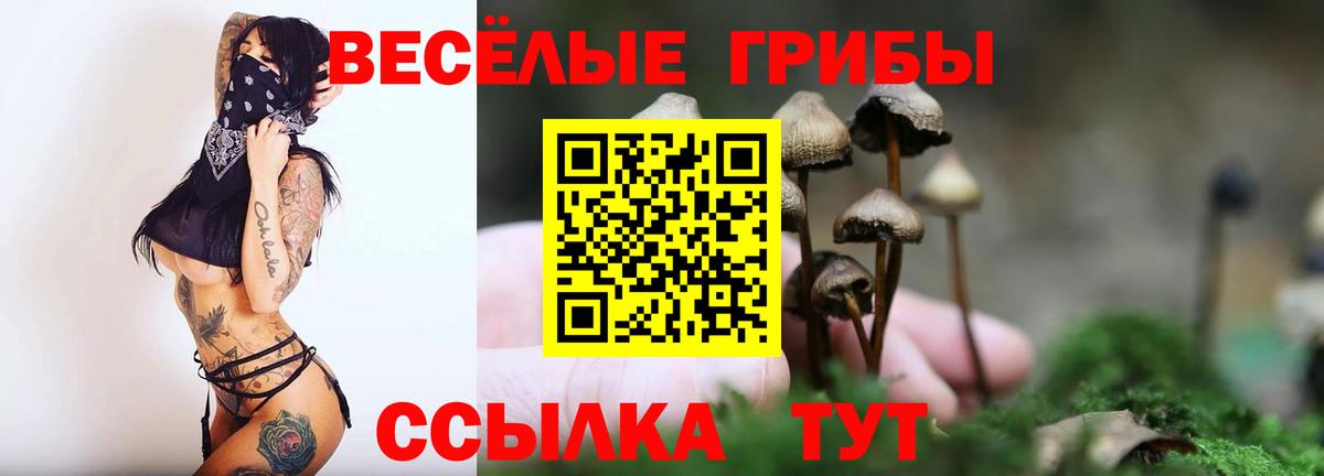 Псилоцибиновые грибы мухоморы  Галлюциногенные грибы Magic Shrooms  Сергиев Посад  Вход с VPN 